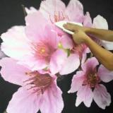 Jak odstranit lepidlo z tapety